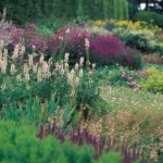 royal_botanic_garden_edinburgh-jpg royal_botanic_garden_edinburgh-jpg